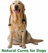 Natural Cures for Dogs