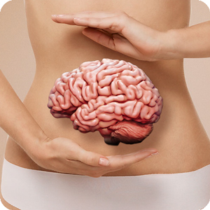 Brain Gut Connection