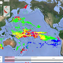 Halting Industrial & Commercial Fishing Required to Prevent Ocean Fishery Collapse