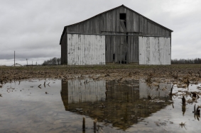 Efforts to Curb the Growing Number of Farmer Suicides