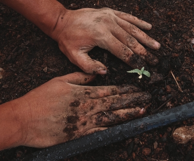 Suicide Prevention as an Agriculture Health and Safety Issue