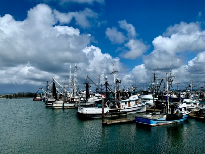 Commercial Fishing