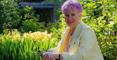 Artist Anne Nordhaus-Bike has launched a new website to showcase her colorful watercolor paintings and mixed media art.