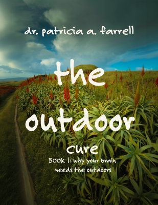 Why Your Brain Needs the Outdoors