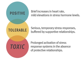 Mechanisms for childhood stress studied at Harvard and by Kaiser in San Diego, and California is acting to improve health now