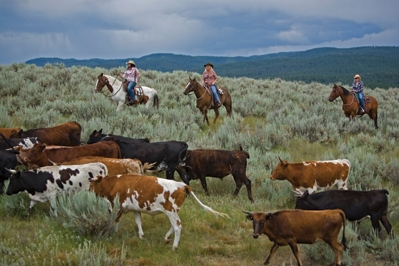 The Resort at Paws Up, Montana