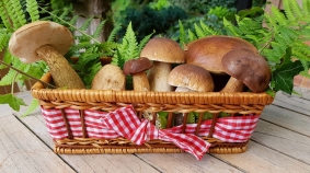 Easy, Healthy Mushroom Soup