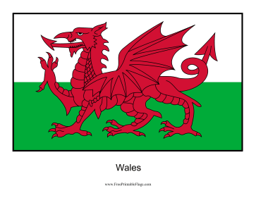 The Welsh Flag