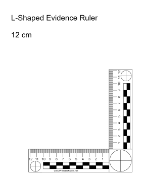 free printable rulers