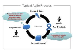 Typical Agile Project Management Process