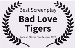 Dr. Kevin Schewe - Author of Bad Love Tigers - Book 2 in Bad Love Series