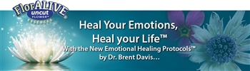 Dr. Brent Davis -- FlorAlive Flower Essences