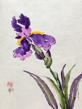 Purple Iris watercolor painting on handmade Asian paper by Anne Nordhaus-Bike
