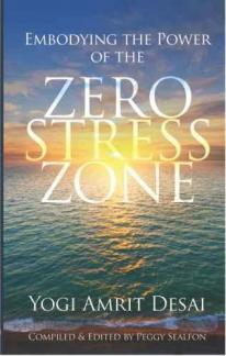 Embodying the Power of the Zero Stress Zone book